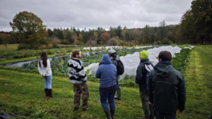 [EVENEMENTS] Rencontres techniques en maraîchage biologique
