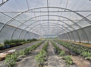 [EVENEMENT] MONTER UNE SERRE DE PRODUCTION