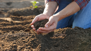 [EVENEMENT] S’INSTALLER EN AGRICULTURE – construire un projet viable et durable