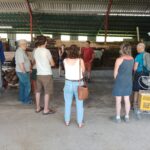 Local à Bois Espèche